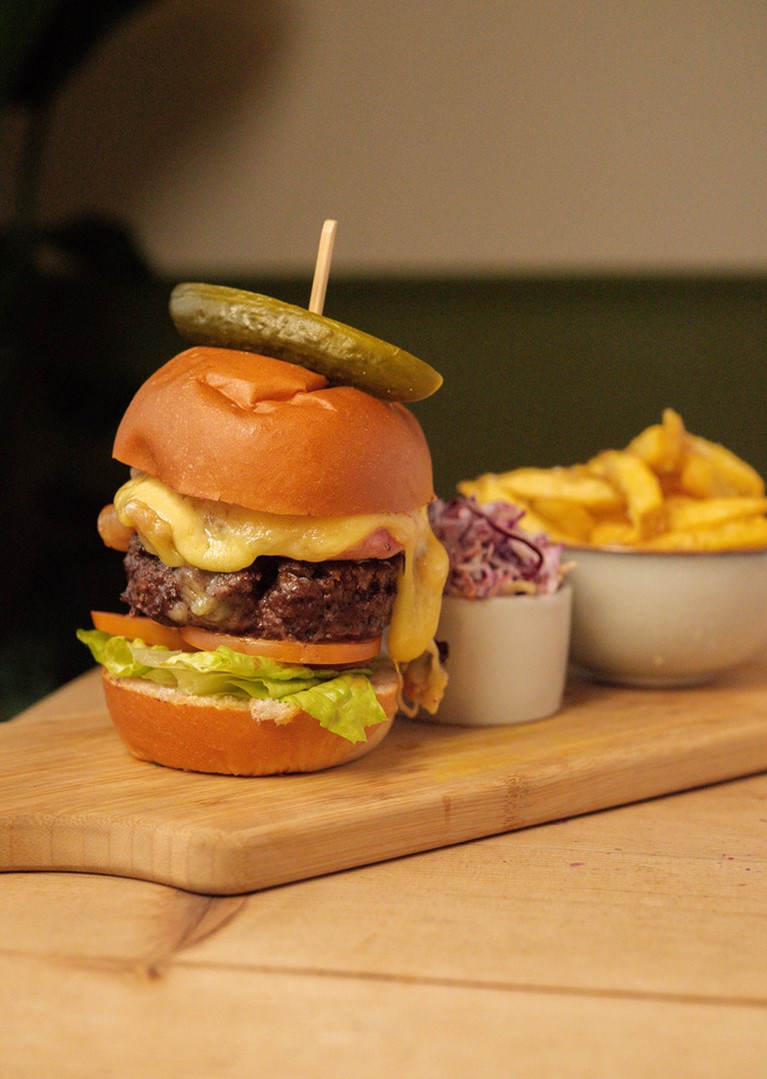 The Roots and Seeds burger on a serving board, with slaw and fries.